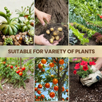 Soil Activated Treasure Premium Soil Activator