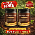 Soil Activated Treasure Premium Soil Activator 200gram (Pack of 2)